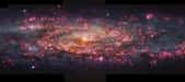 Cette image montre une image détaillée en mille couleurs de la galaxie du Sculpteur, prise avec l'instrument Muse du Très Grand Télescope (VLT) de l'ESO. Des régions de lumière rose, provenant de l'hydrogène ionisé des régions de formation d'étoiles, sont réparties sur l'ensemble de cet instantané galactique. Ces zones ont été superposées à une carte des étoiles déjà formées dans Sculpteur pour créer le mélange de roses et de bleus visible ici. © ESO/E. Congiu et al.